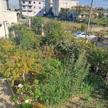 Olmar's Apartment
