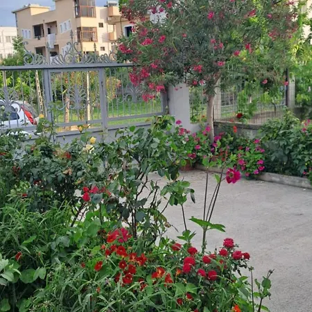 Olmar's Durres